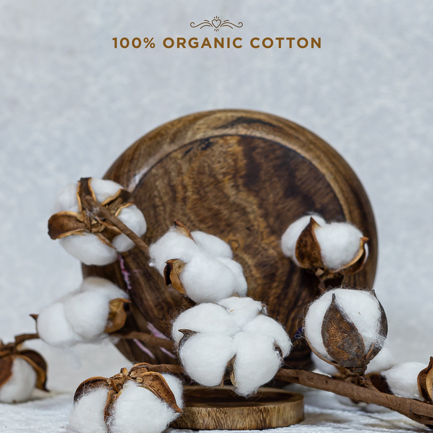 Pee Safe 100% Organic Cotton, Biodegradable Sanitary Pads - Regular (Pack of 10)