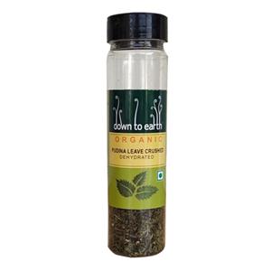Pudina Leaves Crushed 50 g by Down to Earth